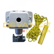Wall Pull Switch with 110V Heater